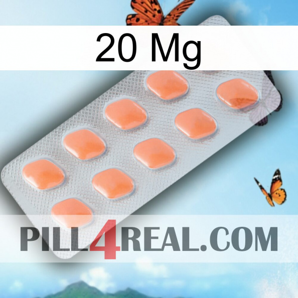 20Mg 26